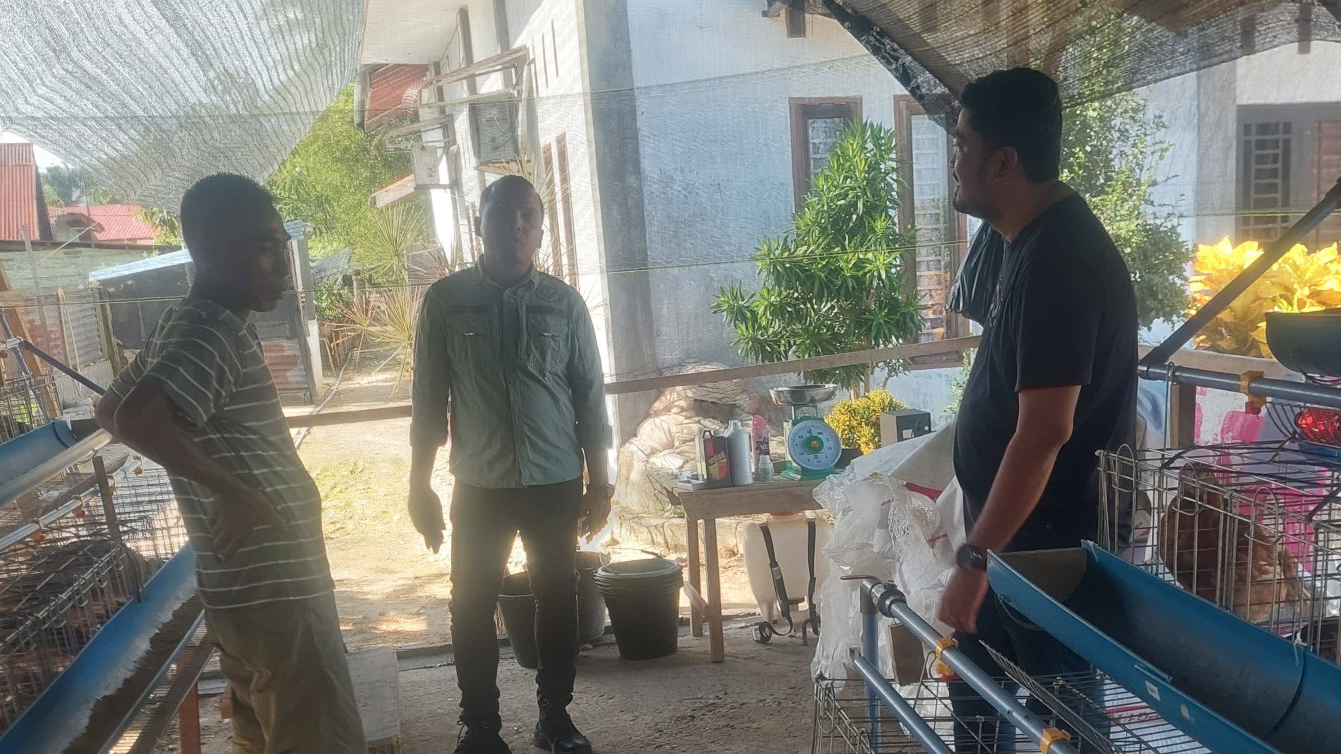Ketua Umum Dewan Pimpinan Daerah Kelompok Tani Merdeka Aceh Tamiang lakukan edukasi terhadap peternak ayam.