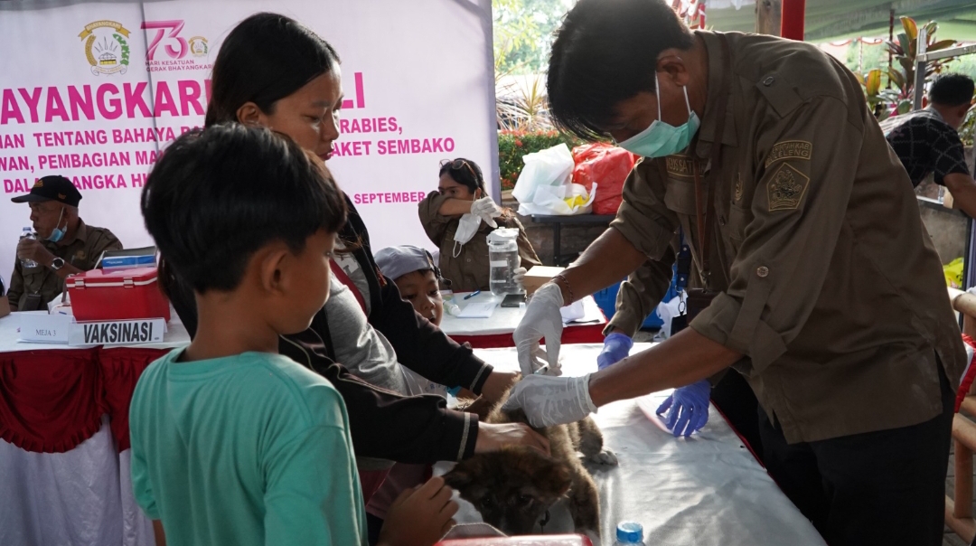 VAKSINASI: Proses vaksinasi terhadap hewan peliharaan warga di Rumah Jabatan Bupati Buleleng.
