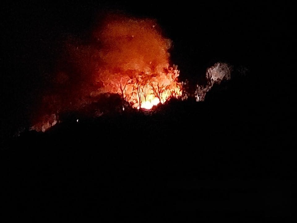 BERKOBAR: Api yang melalap hutan di kawasan Desa Banyupoh, Buleleng.
