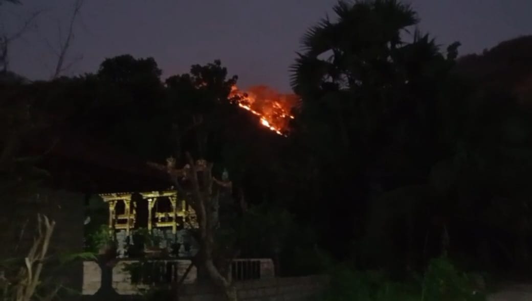 BERKOBAR: Kebakaran hutan yang terjadi di Desa Banyupoh, Buleleng.