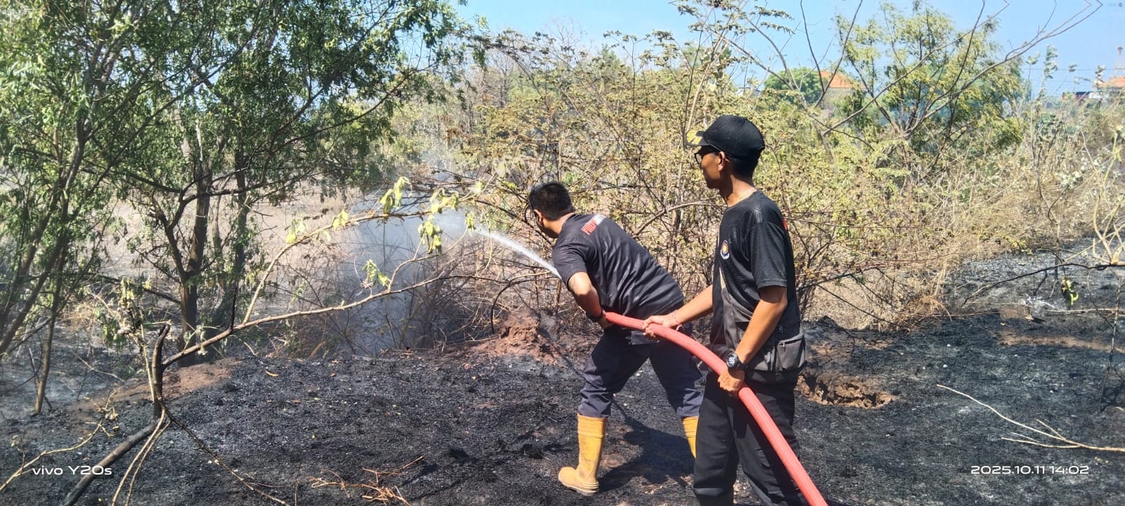 KEBAKARAN: Petugas Pemadam Kebakaran berusaha memadamkan api yang membakar lahan seluas 1,5 hektare di wilayah Desa Bungkulan.