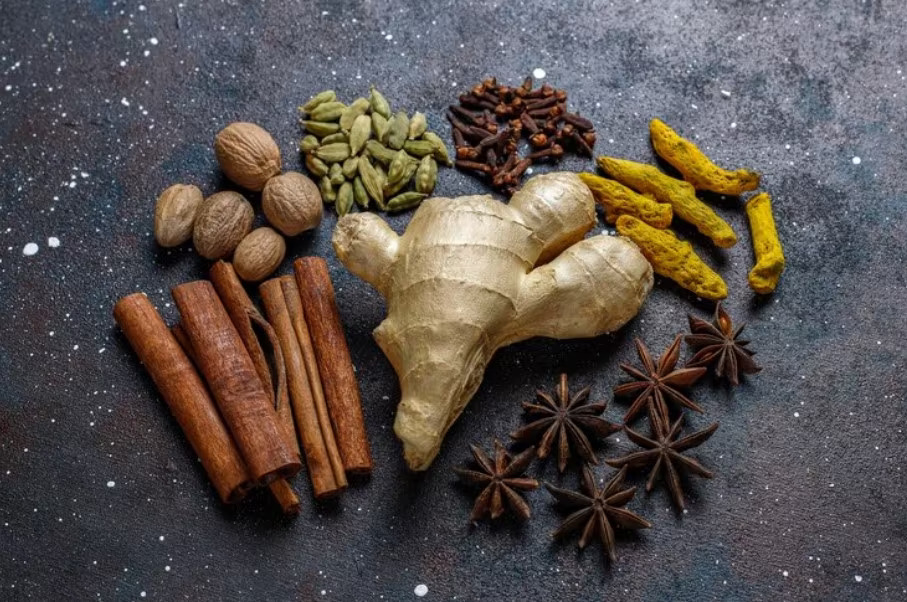 ilustrasi herbal