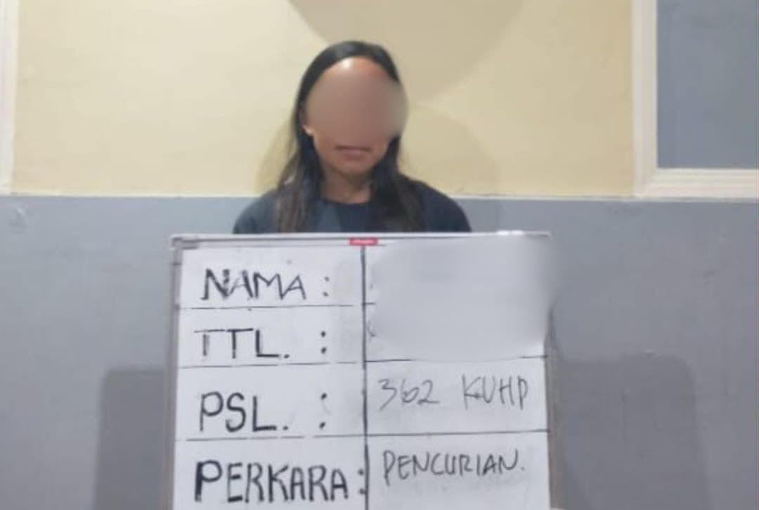 Pembantu rumah tangga nekat mencuri uang pecahan euro di vila.