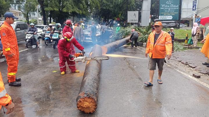 Pohon palem tumbang menimpa mobil Toyota di Jalan Metro Pondok Indah, Jakarta Selatan (26/10/2025).