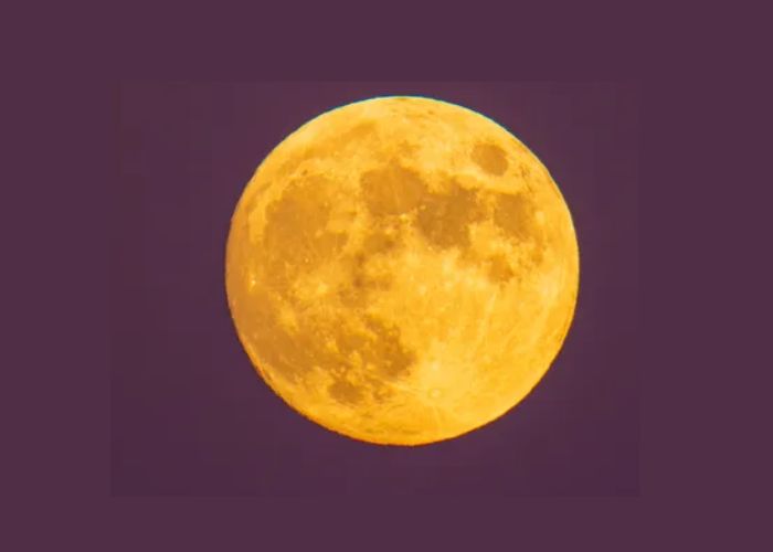 Cahaya Beaver Moon November 2025 tampak keemasan saat mencapai puncak supermoon.