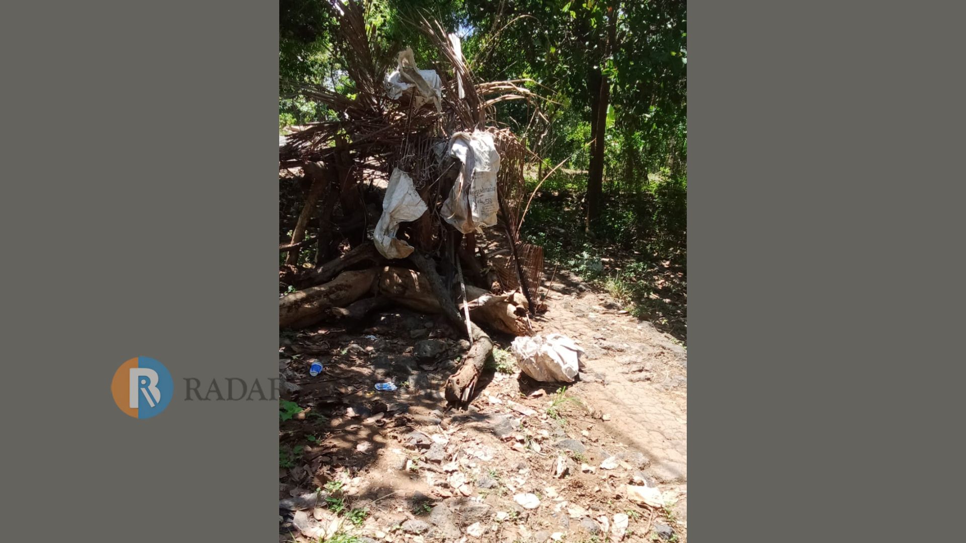 RUSAK PARAH: Kondisi ruas jalan Merak-Tunjung. Jalan itu rusak parah selama puluhan tahun. Warga bahkan menanam pohon di ruas jalan tersebut.
