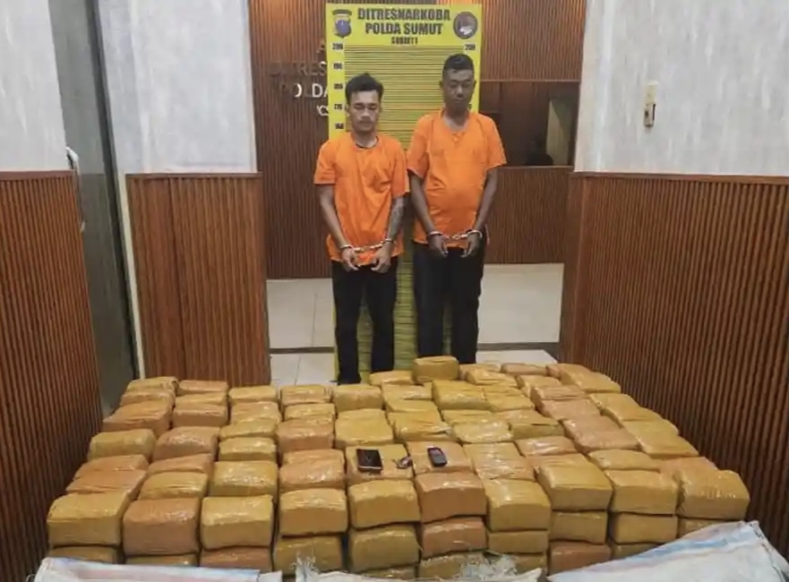 Budi Zebua dan Surman, kurir ganja 225 kilogram yang ditangkap Polda Sumut, Sabtu (15/11/2025) kemarin.