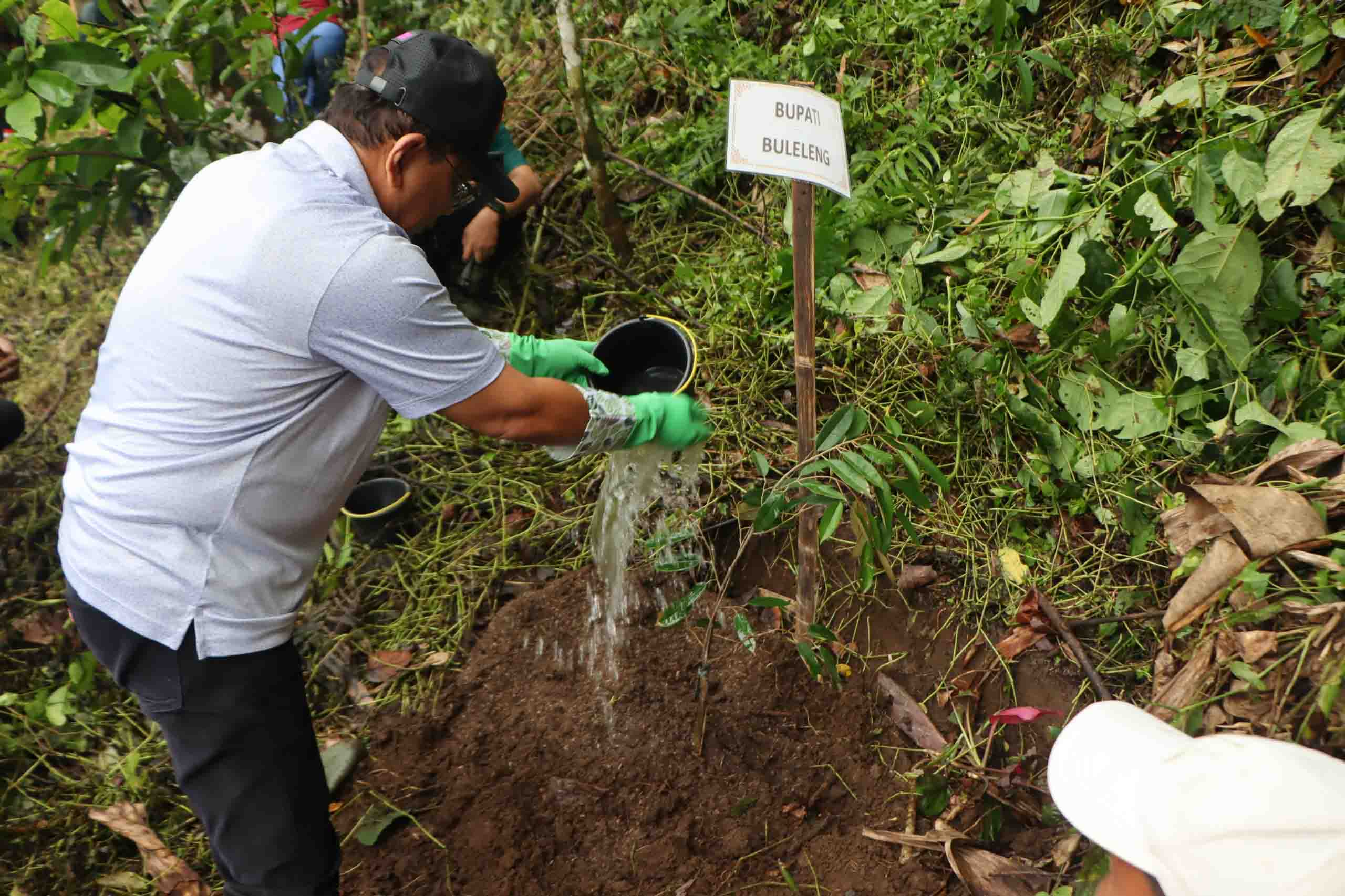 KONSERVASI ALAM: Penanaman pohon yang dilakukan lintas sektoral di Hutan Desa Ambengan. Ini dilakukan dalam rangka memperkuat konservasi di sana, sebagai hulu Buleleng.