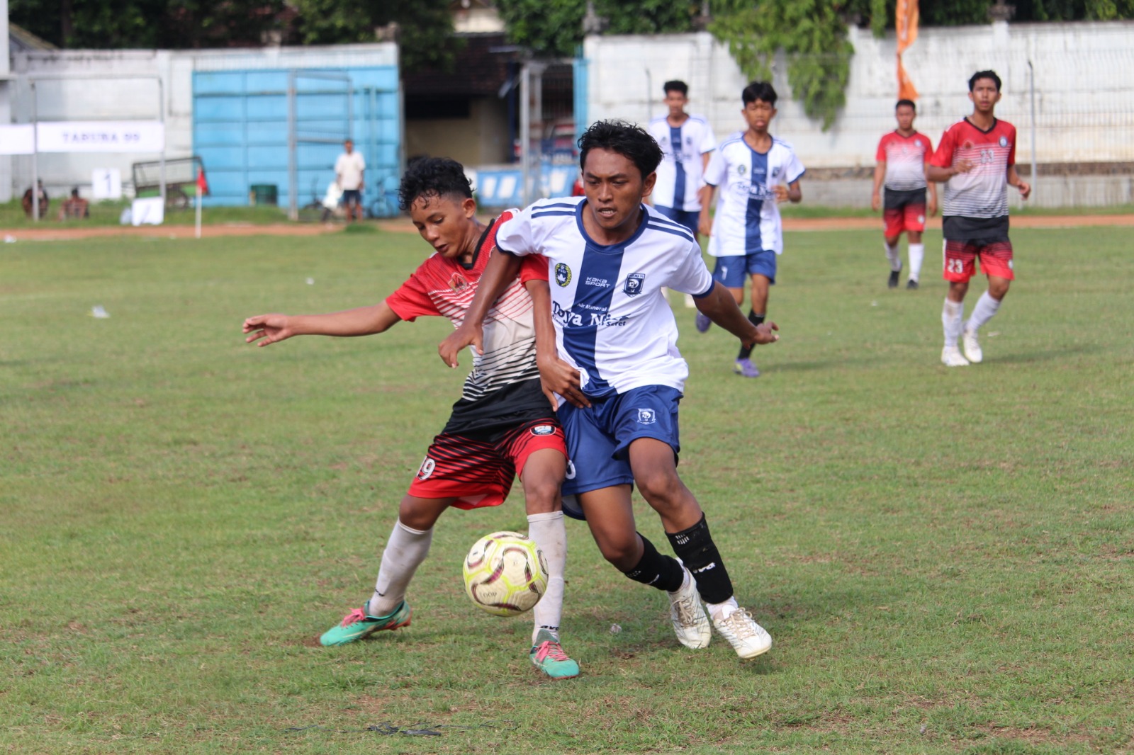 SENGIT: Pemain Forkal, Komang Yonif Satria (merah) berebut bola dengan pemain Taruna 99 (putih-biru). Forkal berhasil menang dalam pertandingan tersebut.