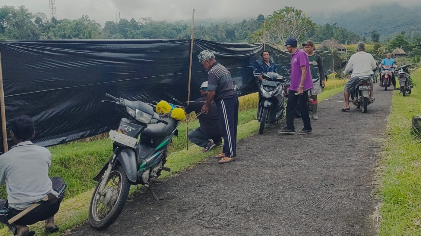 AKSI PROTES: Petani memasang plastik hitam sebagai simbol protes atas penertiban fasilitas akomodasi pariwisata yang dinilai tebang pilih.
