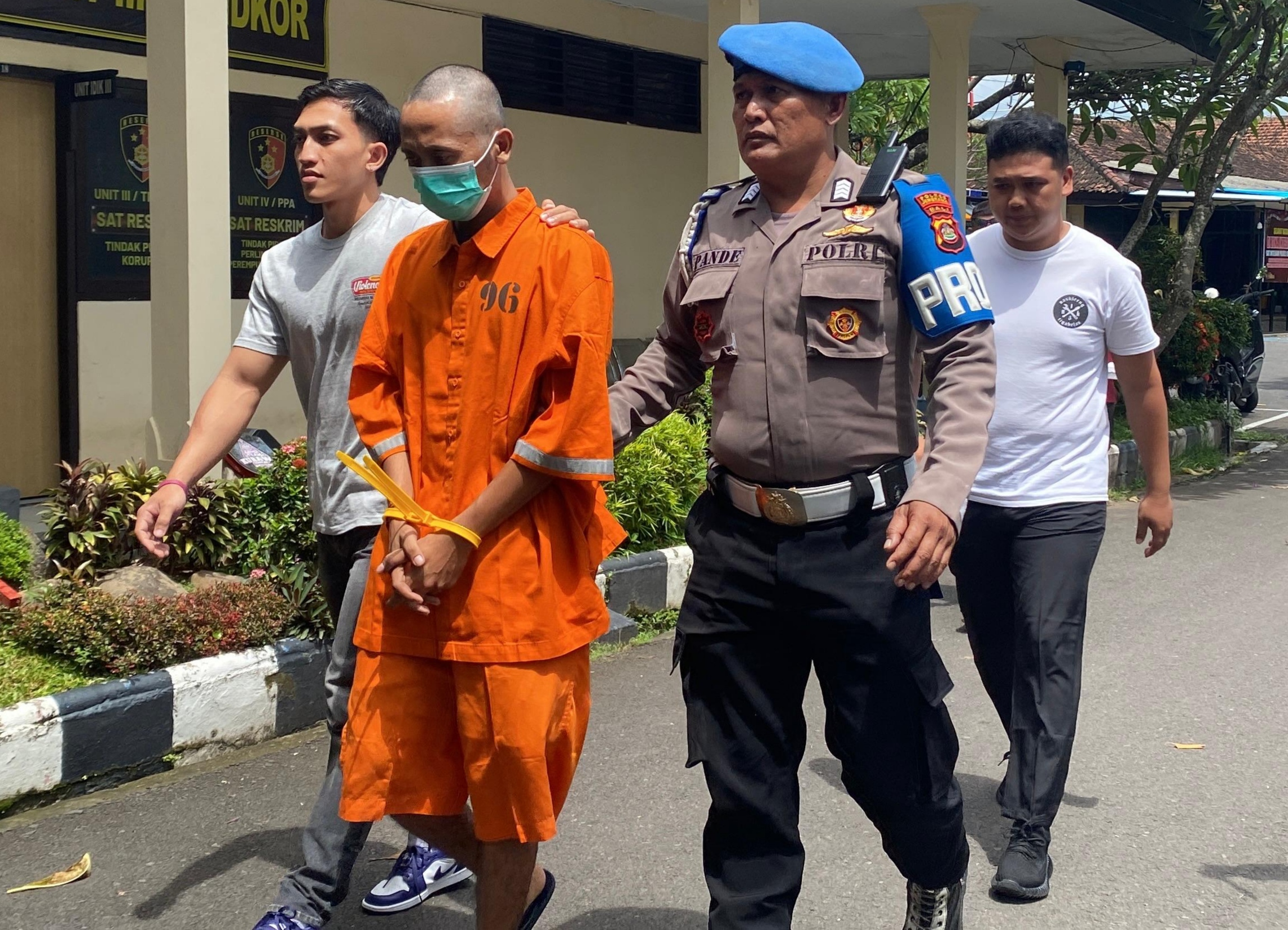 TANAM GANJA: Polisi menangkap seorang pria asal Kelurahan Loloan Timur, Kabupaten Jembrana, Bali, yang menanam ganja.