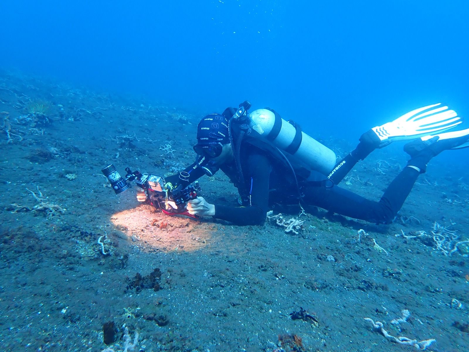 WISATA SELAM: Pengembangan wisata selam muck dive di kawasan Desa Pacung, Kabupaten Buleleng, Bali.