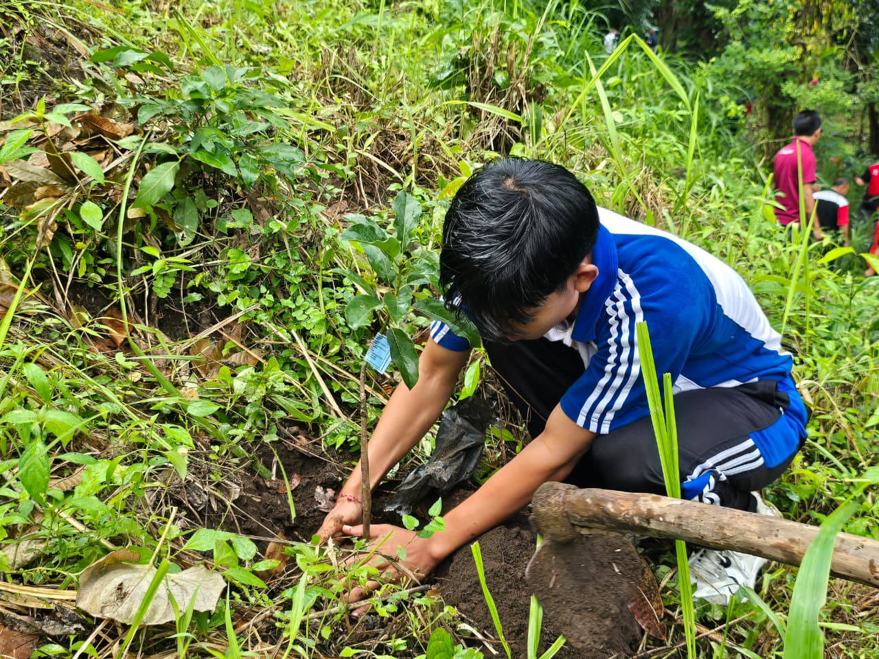 TANAM POHON: Aksi penanaman pohon di kawasan Hutan Desa Tejakula.