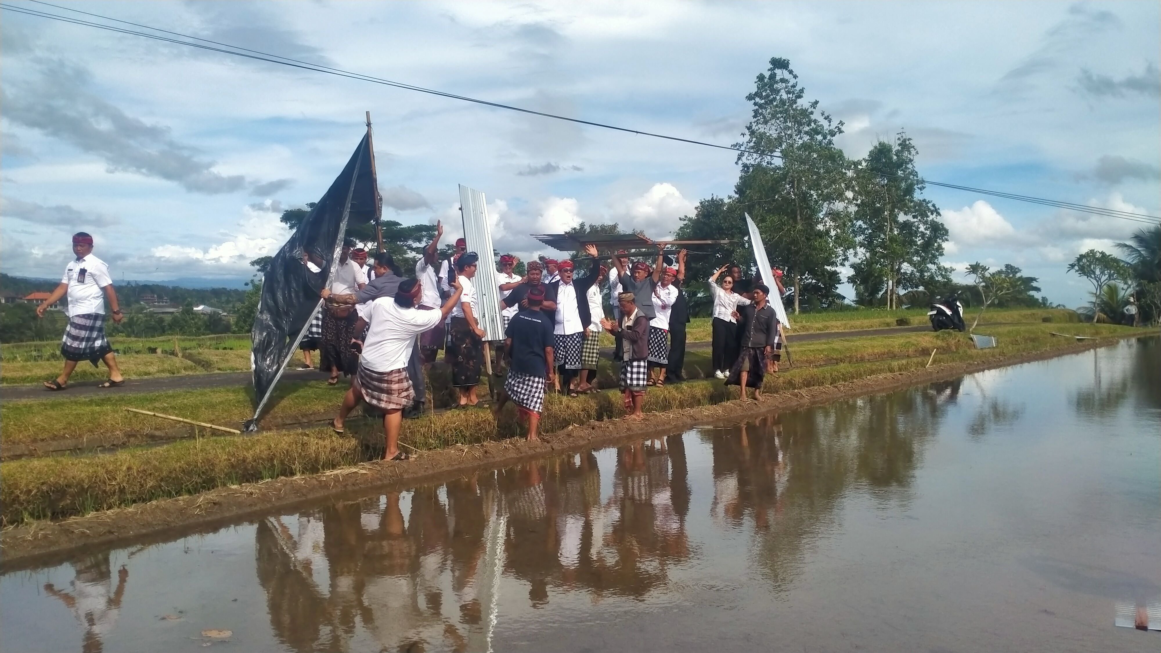 CABUT SENG: Petani cabut seng yang terpasang di Jatiluwih.