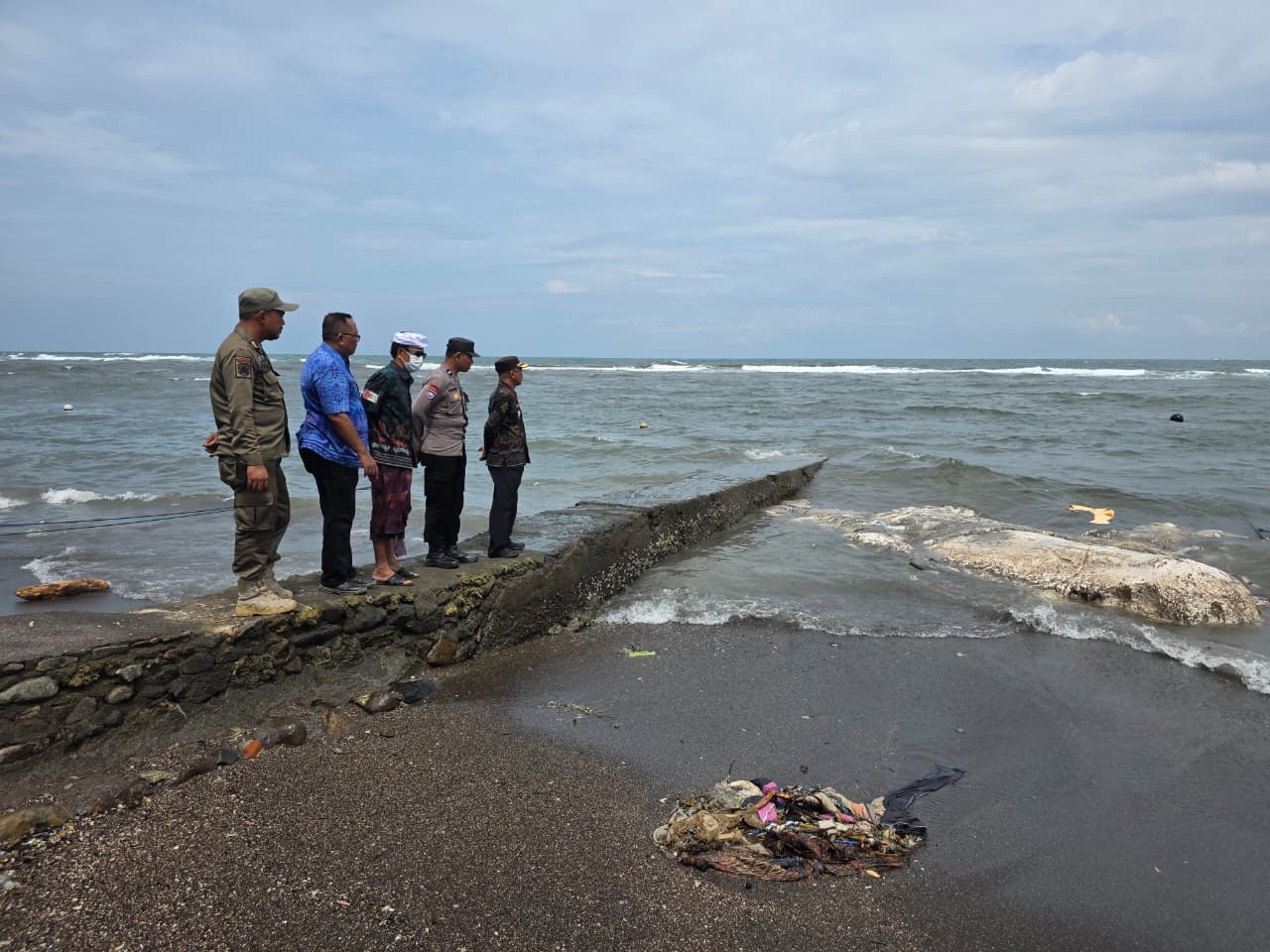 TERDAMPAR: Bangkai paus sperma yang terdampar di Pantai Lilacita, Desa Anturan, Kabupaten Buleleng, Bali.