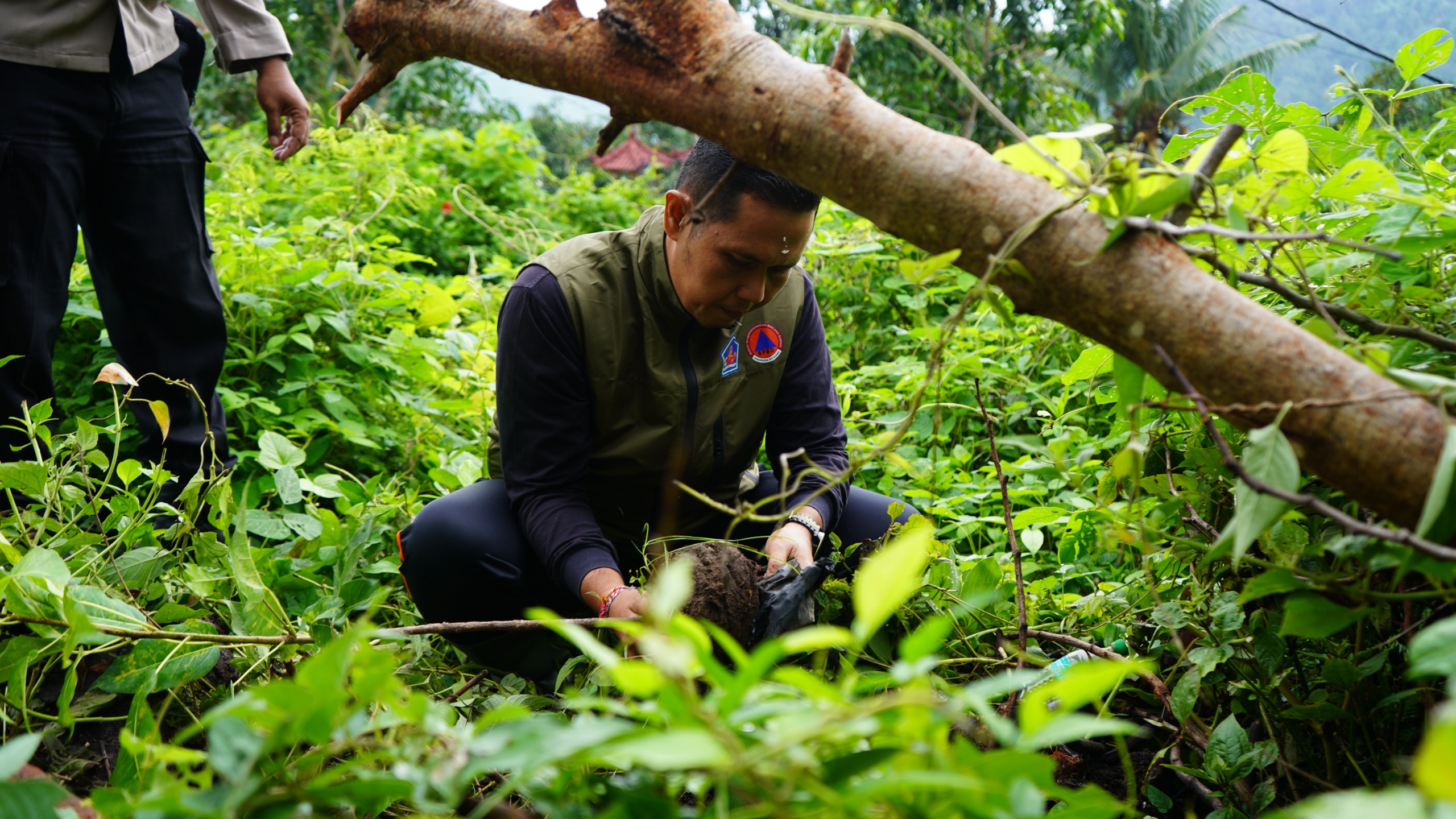 TANAM POHON: Suasana penanaman pohon di kawasan Hutan Lindung Desa Lokapaksa, Seririt.