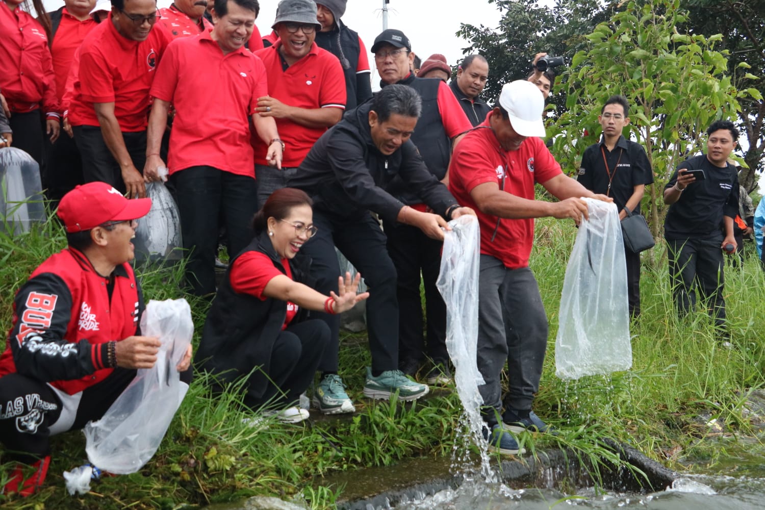 LEPAS IKAN: Para kader PDI Perjuangan melepas ikan di Danau Buyan.