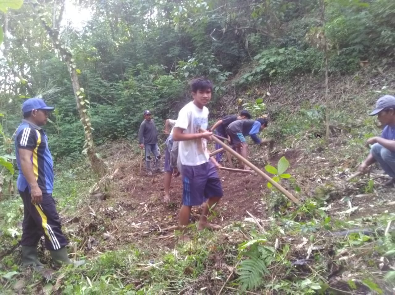 TANAM POHON: Aksi penanaman pohon di kawasan hutan desa yang dikelola oleh Desa Panji.