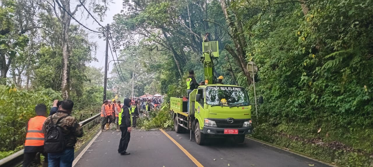 PANGKAS POHON: Pemangkasan pohon di Jalan Raya Singaraja-Denpasar untuk mencegah bencana.