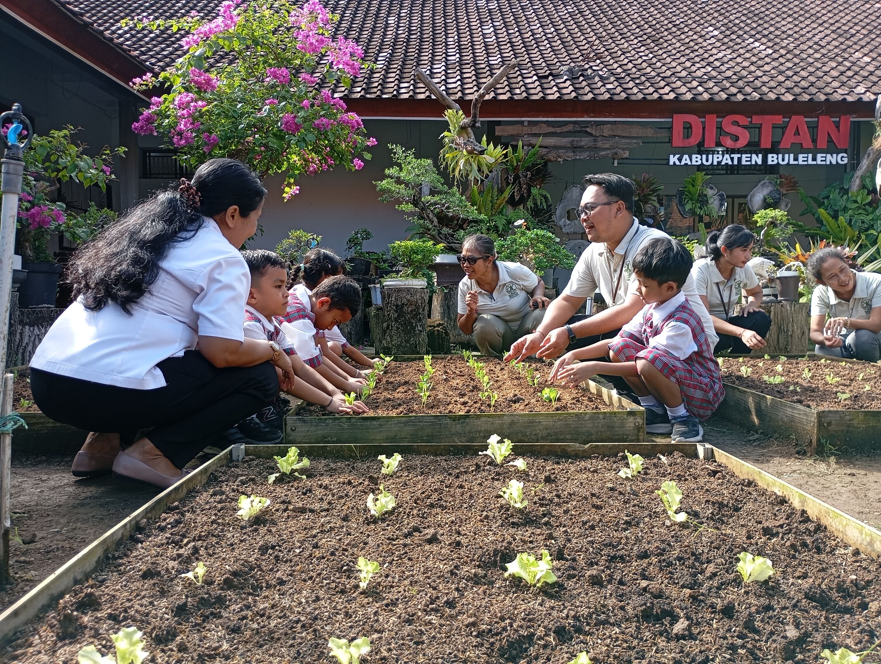 TANAM SAYUR: Siswa menanam sayur di halaman Dinas Pertanian Buleleng.
