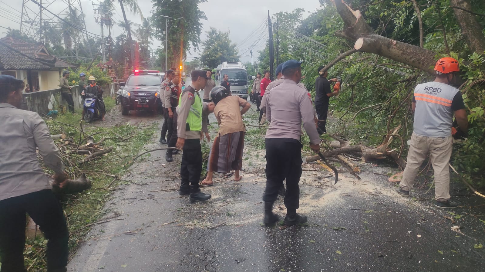 POHON TUMBANG: Proses pembersihan pohon yang tumbang di dekat PLTU Celukan Bawang.