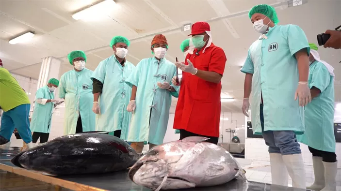 KOMODITAS EKSPOR: Tim Kementerian Kelautan dan Perikanan (KKP) mengecek proses penilaian mutu ikan tuna di unit pengolahan ikan, Pelabuhan Benoa, Bali.