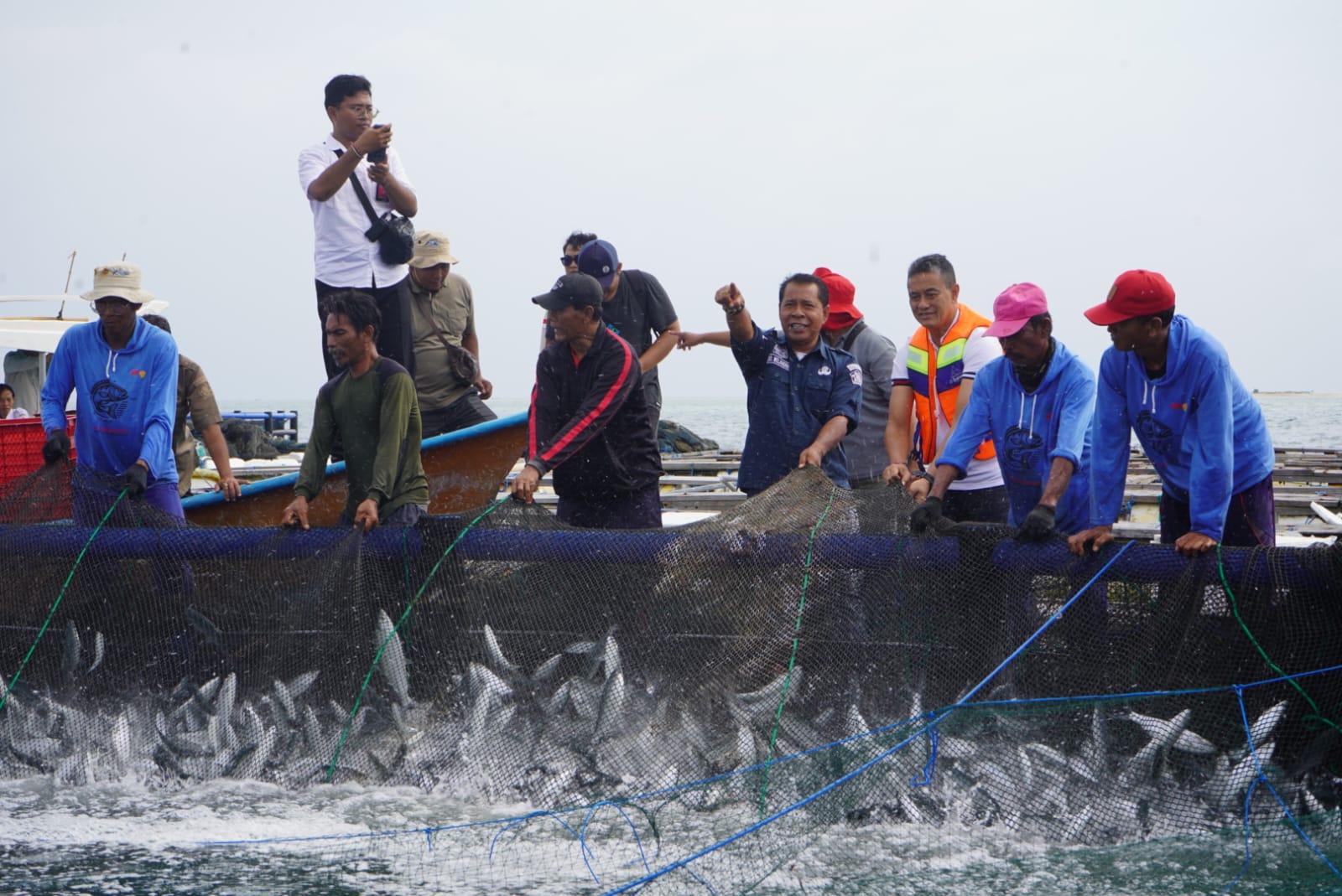 PANEN PERDANA: Proses panen perdana bandeng di Desa Sumberkima, Buleleng.