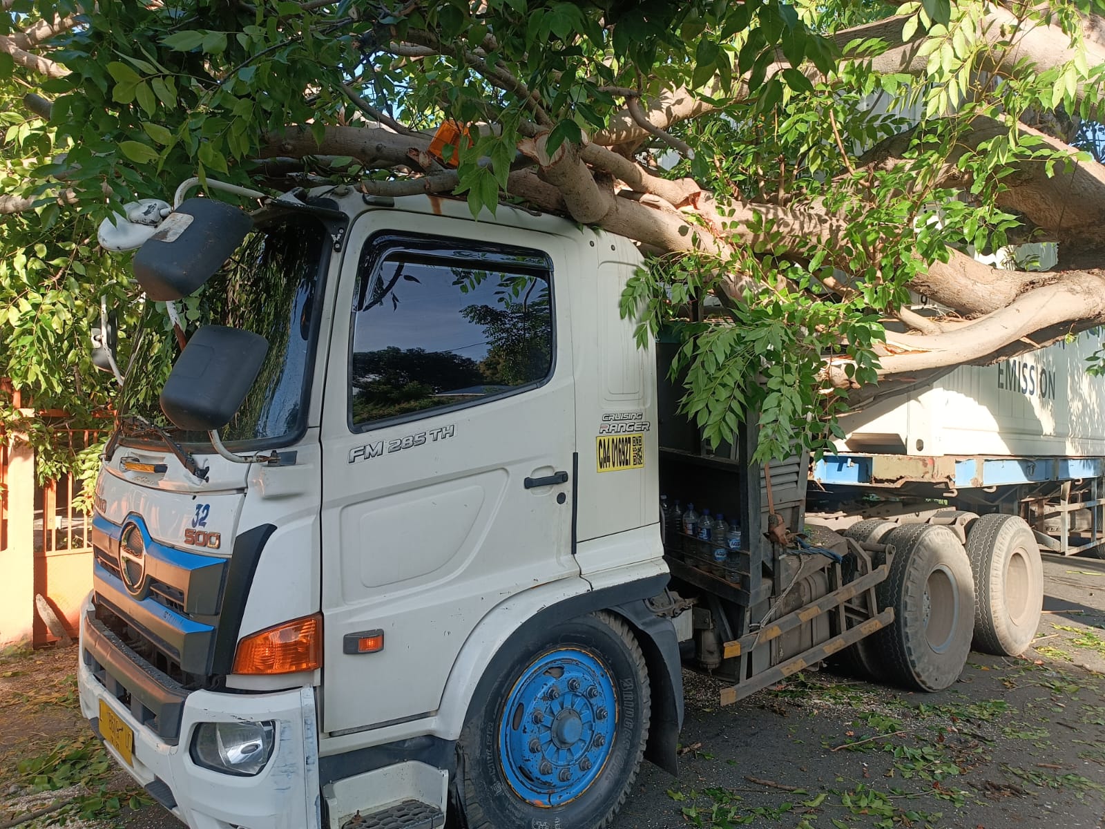 TIMPA TRUK TRAILER: Pohon perindang jalan tumbang sehingga menimpa truk trailer di Jalan Raya Jagaraga.