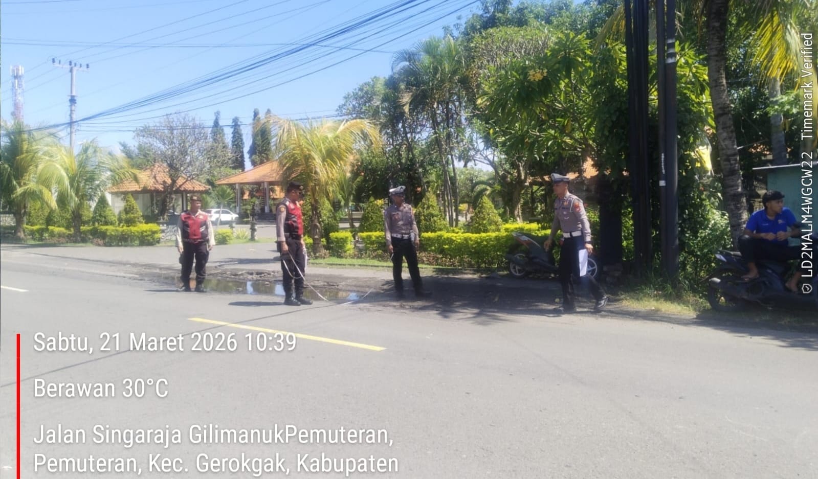 OLAH TKP: Aparat kepolisian Polsek Gerokgak melakukan olah TKP lokasi kecelakaan lalu lintas di Jalan Raya Singaraja-Gilimanuk, tepatnya di wilayah Desa Pemuteran.