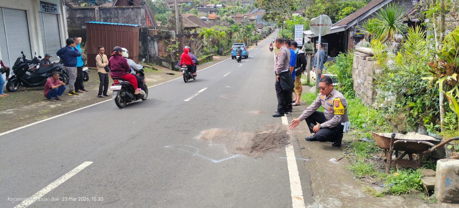 OLAH TKP: Aparat kepolisian melakukan olah TKP kecelakaan lalu lintas di Jalan Raya Pupuan-Seririt.