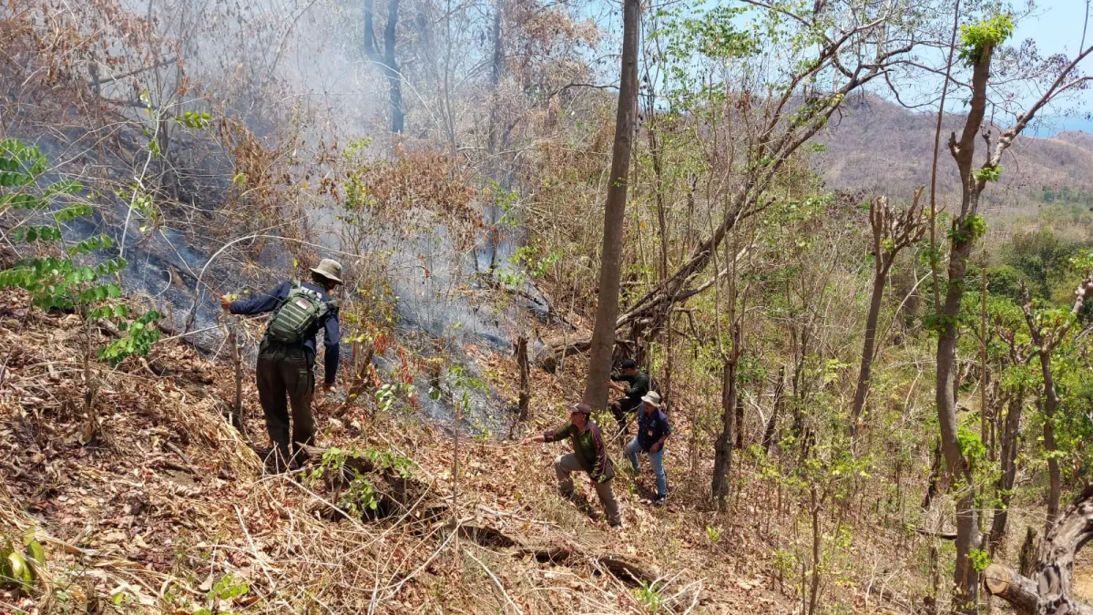 KEBAKARAN HUTAN: Polisi hutan memadamkan api yang membakar semak-semak di Desa Banyupoh, Buleleng. (dok. Radar Buleleng)