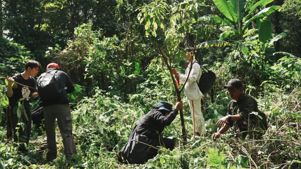 MENANAM: Lintas komunitas dan relawan dari Jepang melakukan aksi penanaman pohon di kawasan Danau Tamblingan. Upaya menjaga konservasi kawasan hulu Bali Utara. (Kayoman Pedawa)