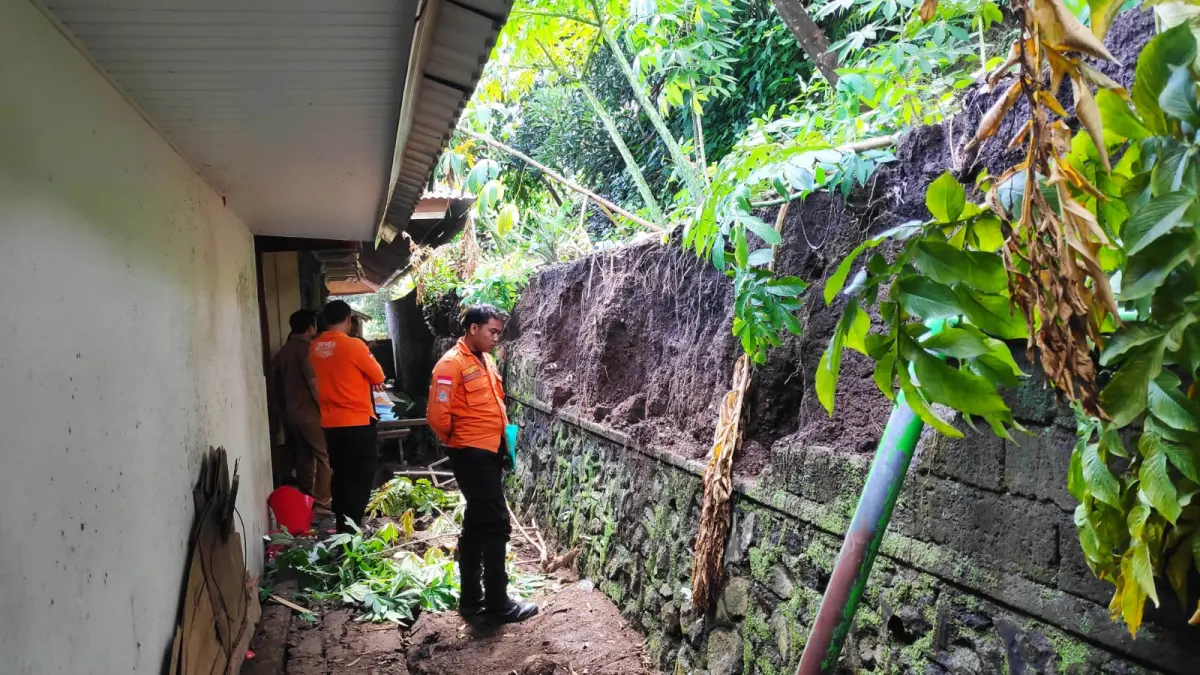 CEK LOKASI: Personel BPBD Buleleng mengecek tembok pagar SDN 3 Kubutambahan yang jebol tergerus air hujan. (BPBD Buleleng)