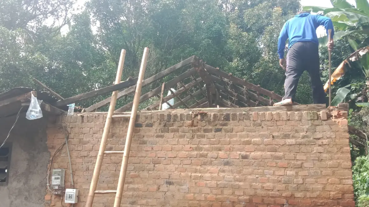 RUSAK PARAH: Atap rumah warga di Desa Gesing, Kabupaten Buleleng, Bali, rusak setelah tertimpa pohon cengkeh. (BPBD Buleleng)
