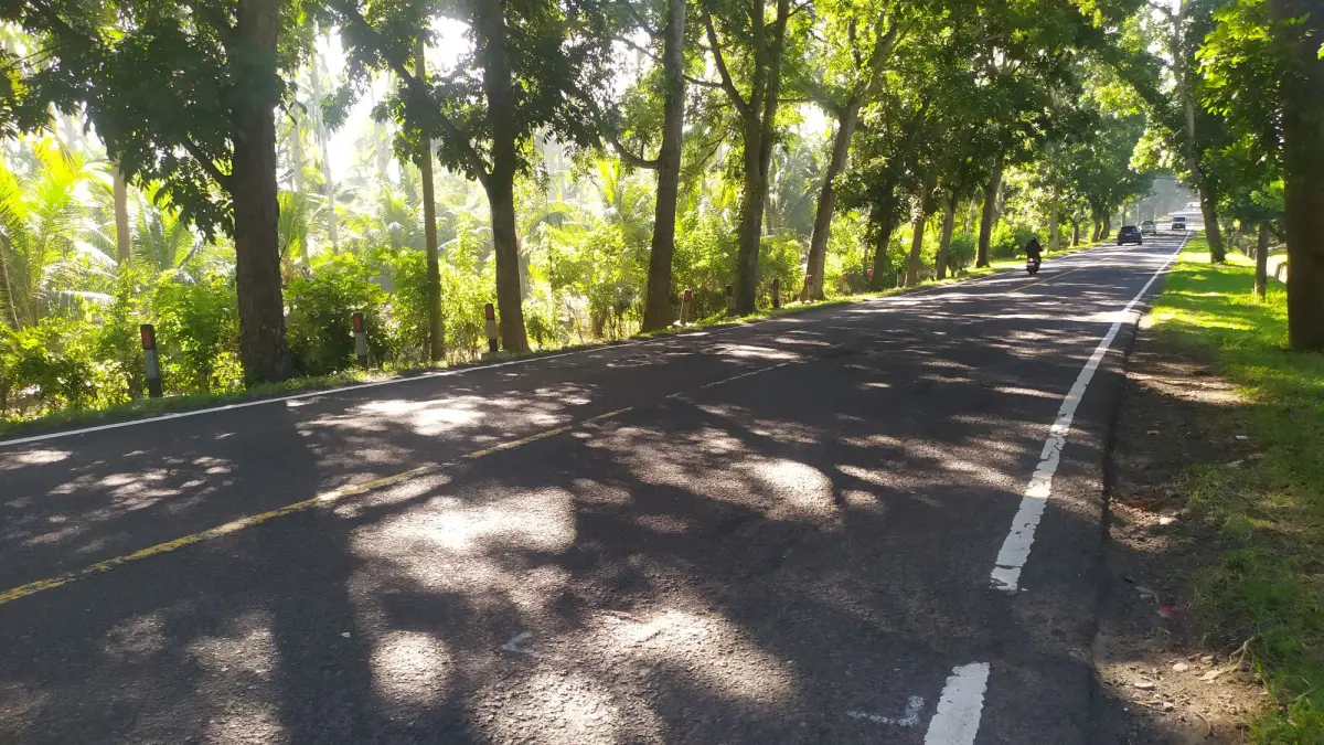 RELOKASI: Lahan milik Pemprov Bali di Desa Candikusuma, Jembrana. Pemprov Bali tengah mempertimbangkan untuk menggunakan lahan tersebut sebagai lokasi pembangunan lapas baru di Bali. (M. Basir/Radar Bali)