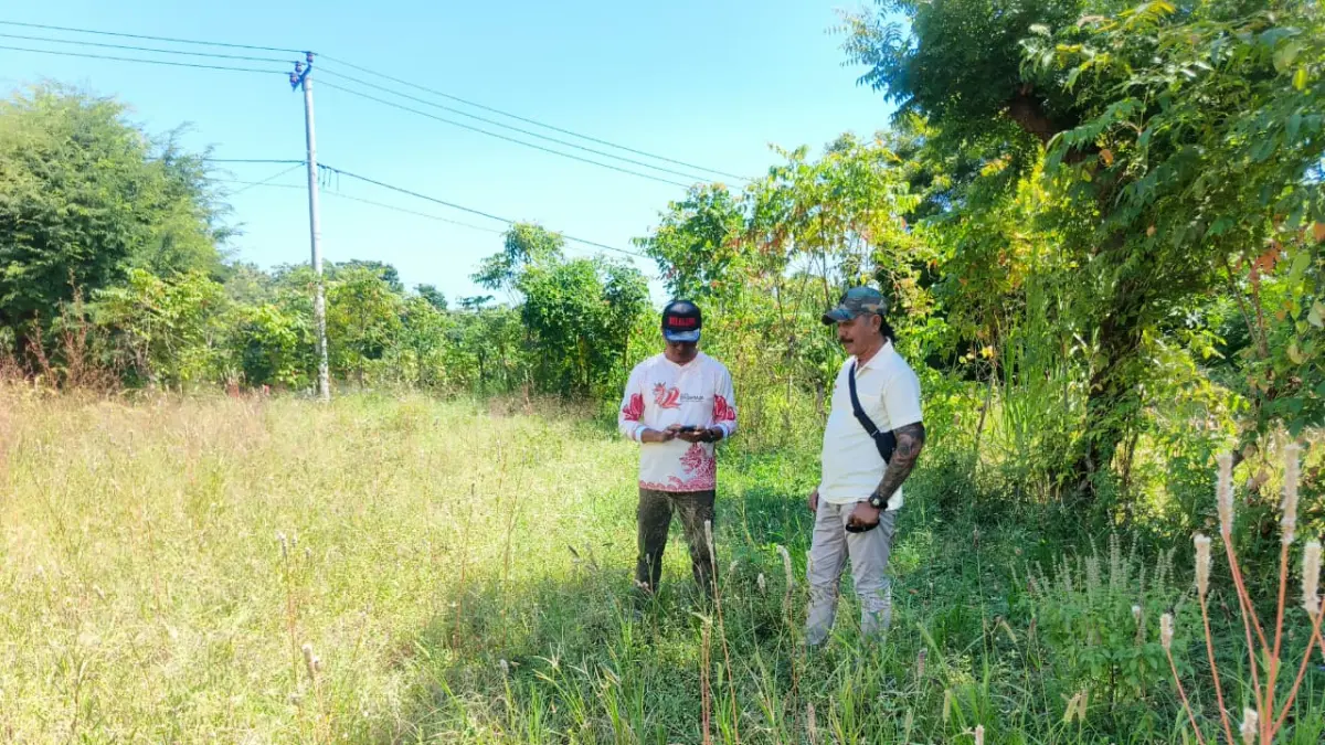CEK LAHAN: Kepala Disdikpora Buleleng, Ida Bagus Gde Surya Bharata (kiri) mengecek lahan milik Desa Adat Bangkah, di Desa Pacung, Kecamatan Tejakula. Pemerintah kini tengah mengkaji rencana pembangunan SMP baru di Tejakula. (Pemkab Buleleng)