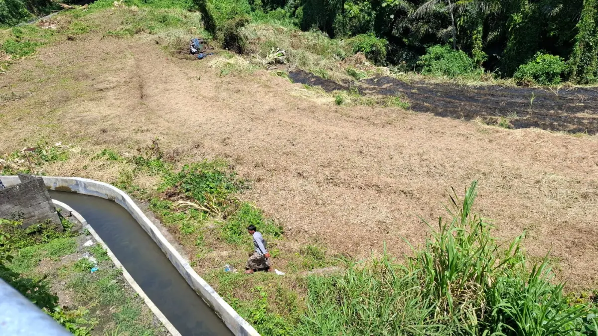 DIJADIKAN PERUMAHAN: Lahan pertanian yang dipasarkan sebagai tanah kavling perumahan di Kabupaten Klungkung. Alih fungsi lahan itu membuat pengurus subak resah. (Dewa Ayu Pitri Arisanti/Radar Bali)