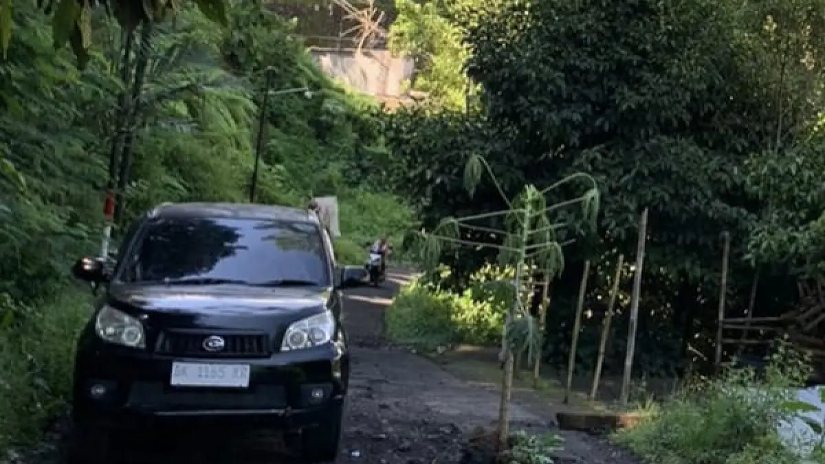 DITANAMI PEPAYA: Kondisi ruas Jalan Raya Lemukih yang ditanami pepaya oleh warga. (Radar Buleleng)