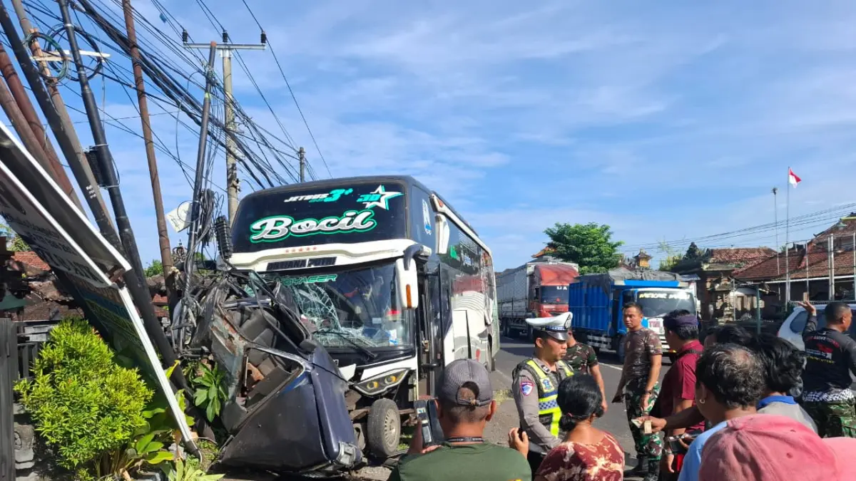 RINGSEK: Bus Singa Raja Putra mengalami kecelakaan tunggal di Jalan Raya Denpasar-Gilimanuk, tepatnya di wilayah Desa Pohsanten, Kabupaten Jembrana, Bali. (M. Basir/Radar Bali)