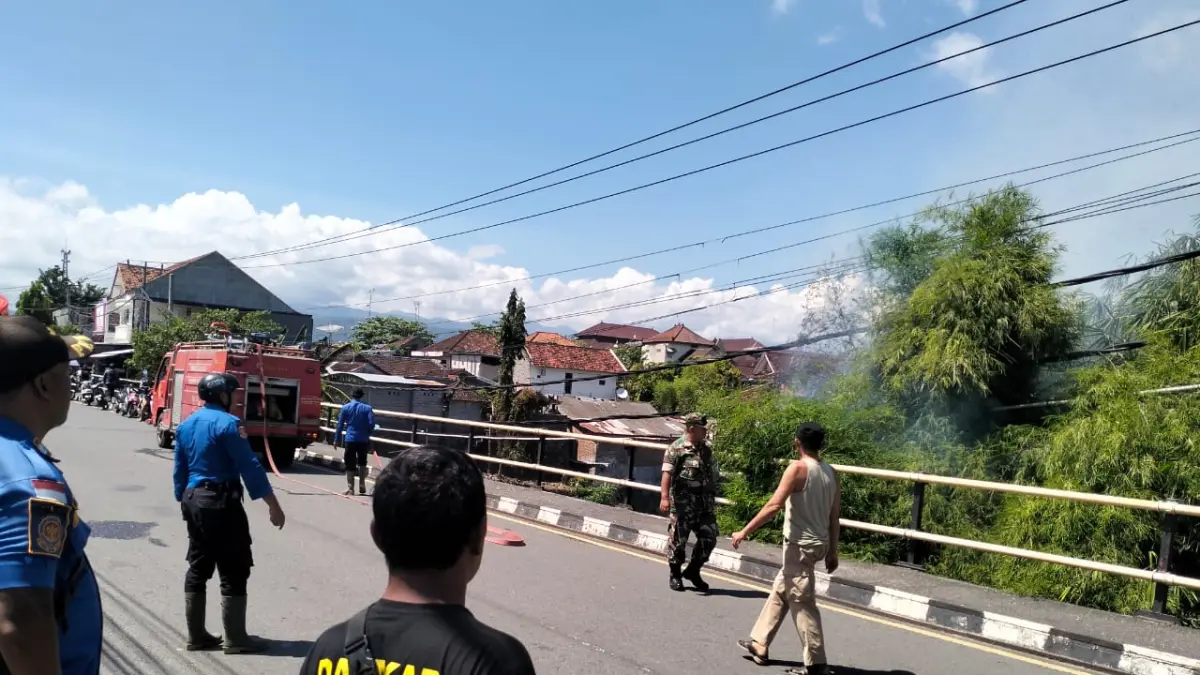 BIKIN RESAH: Rumpun bambu yang terbakar di Jembatan Seririt. (Dinas Pemadam Kebakaran Buleleng)