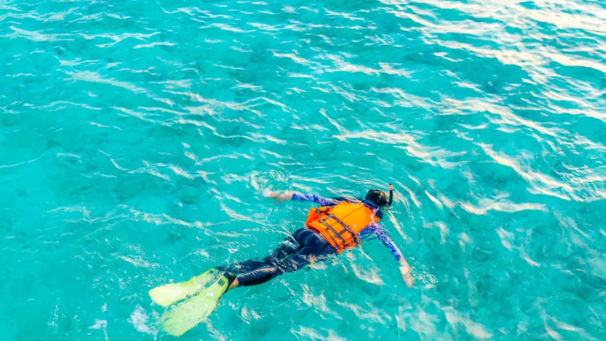 ilustrasi snorkeling. (magnific)