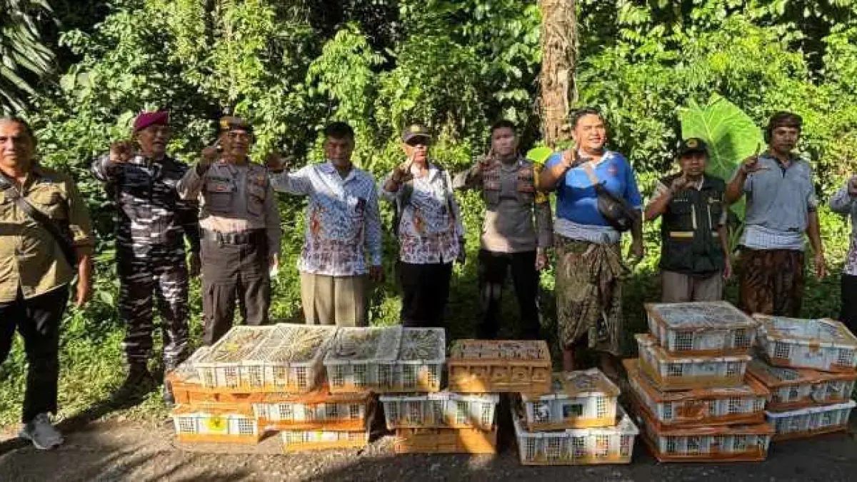 LEPAS LIAR: Proses pelepasliaran burung ilegal yang dibawa masuk ke Bali melalui Lombok. (Polres Karangasem)