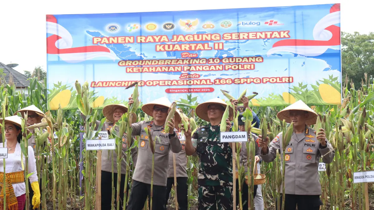PANEN RAYA: Panen raya jagung di kebun ketahanan pangan Desa Sambangan yang dikelola Polres Buleleng. (Francelino Junior/Radar Buleleng)