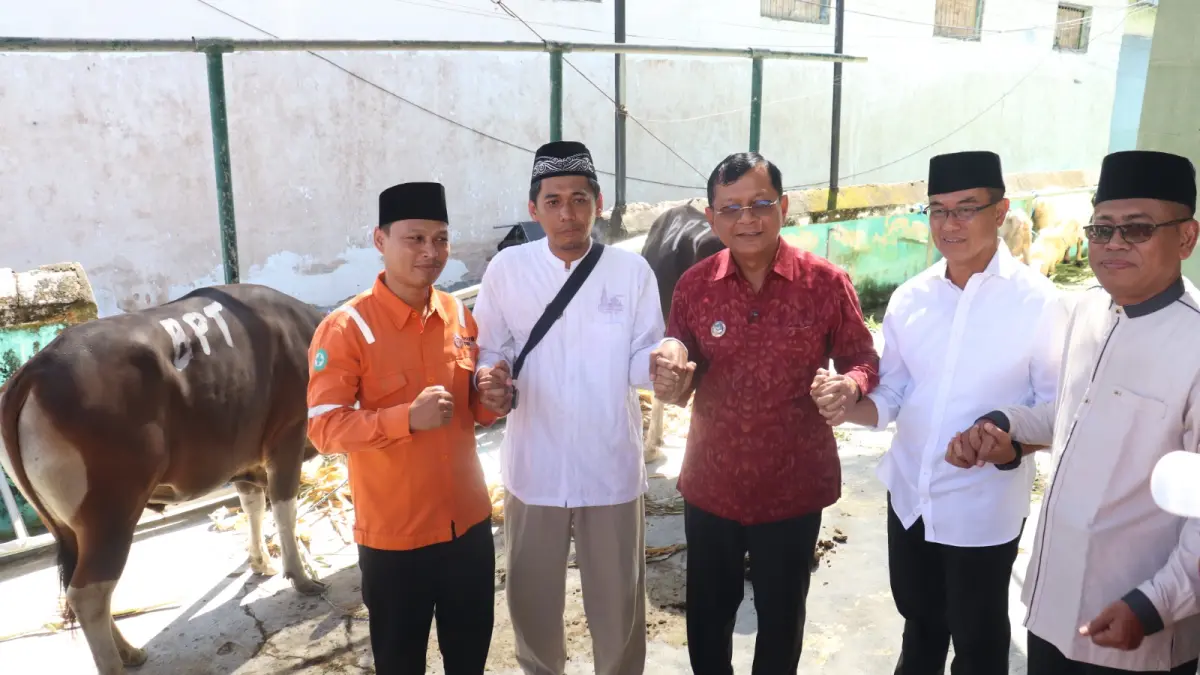 SERAHKAN HEWAN KURBAN: Bupati Buleleng, I Nyoman Sutjidra (baju merah) menyerahkan hewan kurban kepada pengurus Masjid Jami