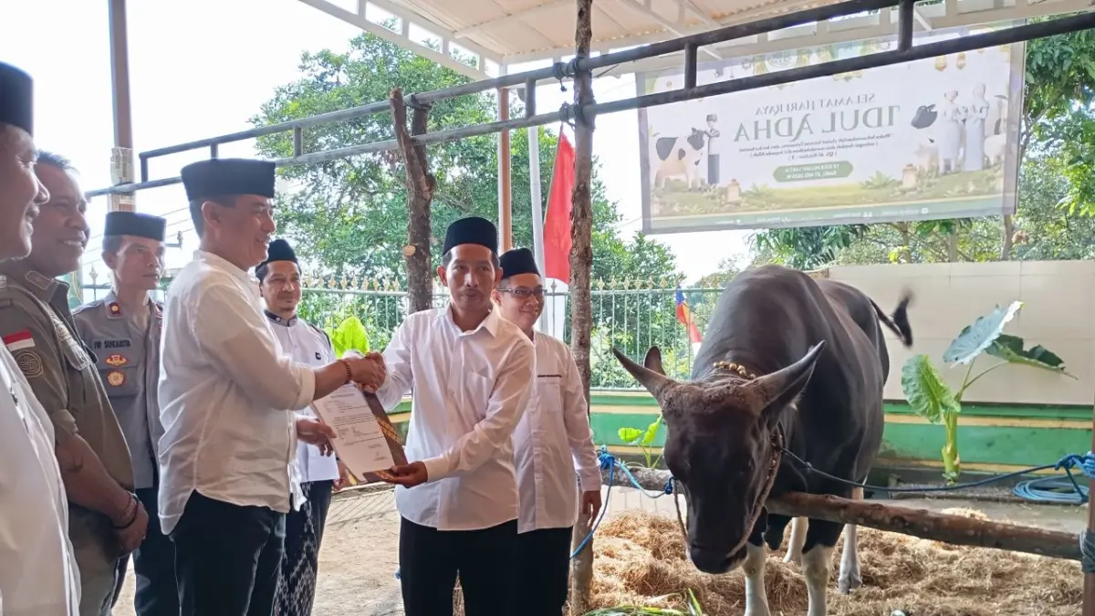 SAPI PRESIDEN: Penyerahan sapi bantuan dari Presiden RI Prabowo Subianto kepada jamaah di Masjid Ar-Rahmah, Desa Tegallinggah, Buleleng. (Francelino Junior/Radar Buleleng)
