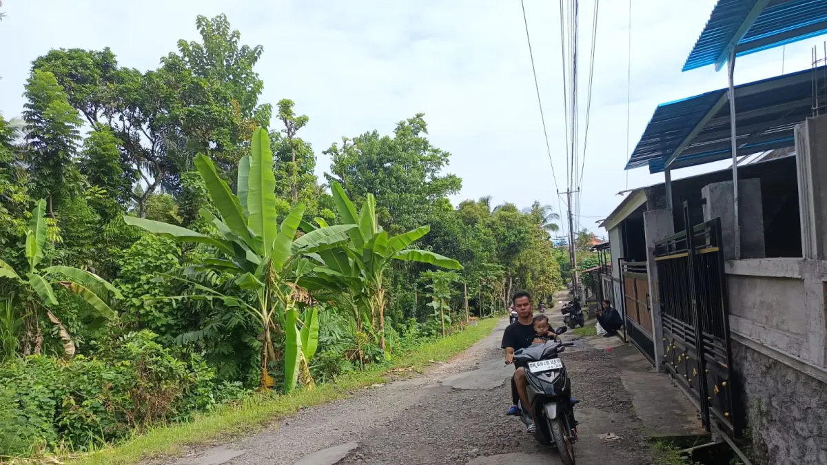 RUSAK: Kondisi kerusakan jalan di Banjar Dinas Bukit Sari, Desa Tegallinggah, Kabupaten Buleleng. Jalan tersebut tidak pernah tersentuh perbaikan sejak 2014 silam. (Eka Prasetya/Radar Buleleng)