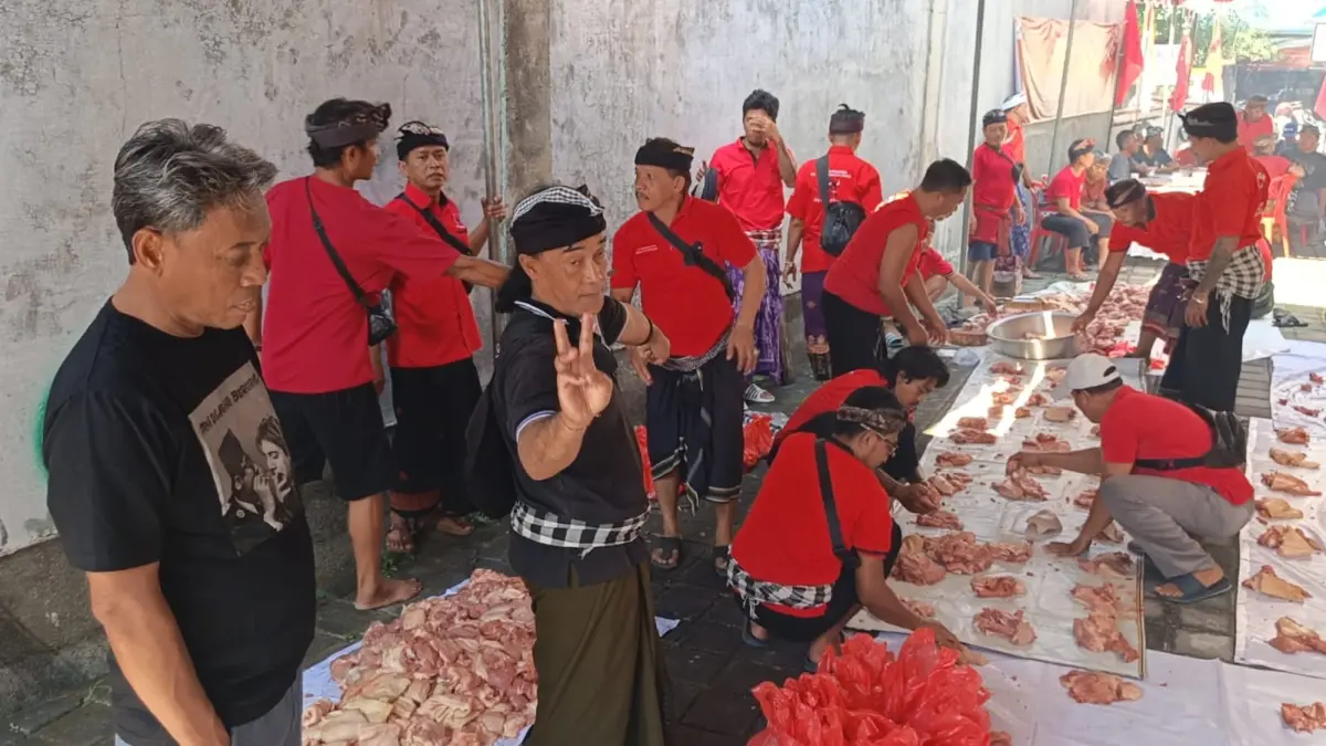 BAGIKAN  DAGING BABI: Suasana pembagian daging babi di Sekretariat DPC PDI Perjuangan Buleleng kepada warga di Kabupaten Buleleng. (Francelino Junior/Radar Buleleng)