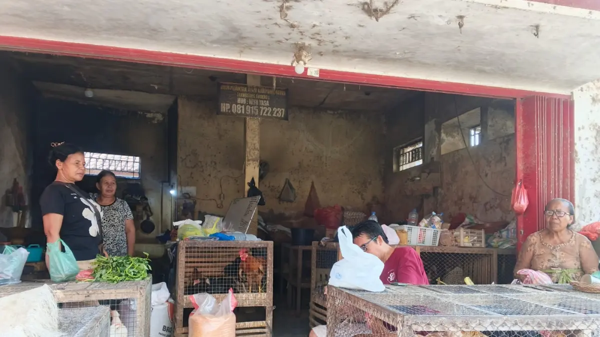 PENGALAMAN TIGA DEKADE: Suasana di lapak penjualan ayam yang dikelola Wayan Putrayasa. Ia telah memiliki pengalaman lebih dari tiga dekade dalam mengelola peternakan ayam. (Dewa Gede Anggan Candra Wisnawa untuk Radar Buleleng)