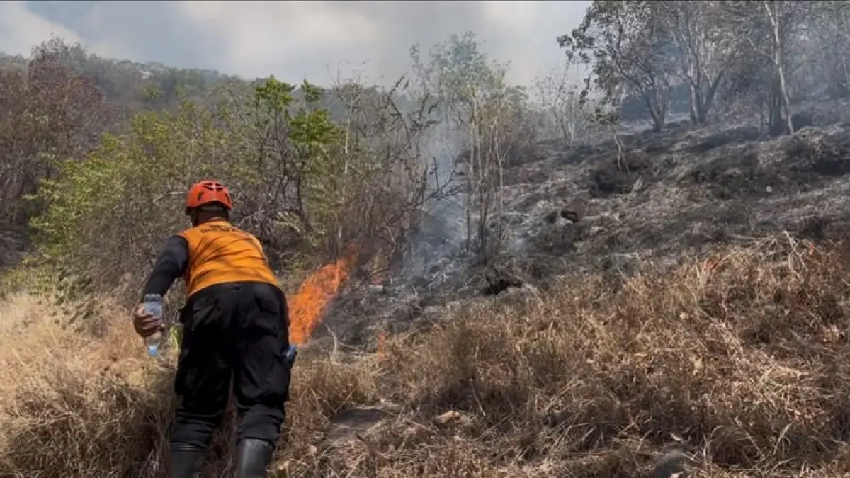 KEBAKARAN HUTAN: Petugas melakukan pemadaman api di kawasan yang mengalami kebakaran  di Desa Pemuteran, Kabupaten Buleleng. (BPBD Buleleng)