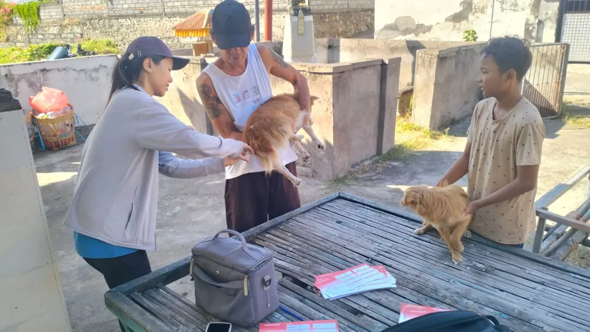 SUNTIK VAKSIN: Vaksinasi rabies terhadap anjing yang ada di wilayah Desa Bubunan. Pekan lalu terdapat satu kasus rabies yang menyebabkan seorang bocah meninggal. (Pemkab Buleleng)